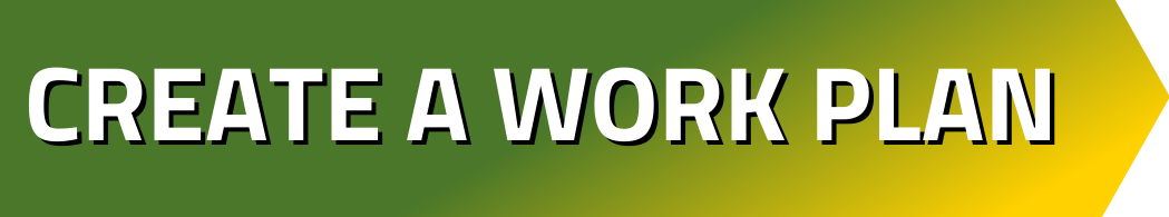 Create a Working Plan